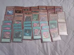 泰亜版 遊戯王 クシャトリラ デッキパーツ アジア英語 - メルカリ