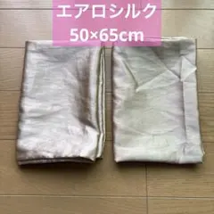 エアロシルク シルク枕カバー 2枚セット シャンパンゴールド 50×65のサムネイル