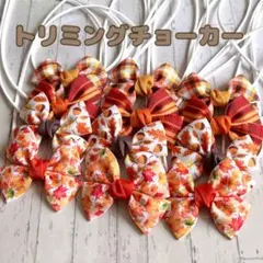 Y♡K 多肉　涼しくなるまで多肉終了様 リクエスト 2点 まとめ商品