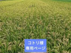 코토리님 전용 페이지입니다.언제나처럼 고마워요 ()”