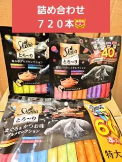 Item thumbnail for item 39b25fb5-b5a9-4e2b-bf9b-ccef1f2eb912