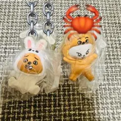 SKZOO スキズ リービット ハンクォッカ セット ②