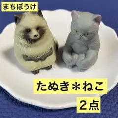 猫 グレー