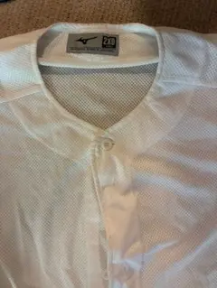 Item thumbnail for item 5ae6cc4f-20c8-411a-a644-9a430d850293