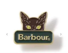 Item thumbnail for item 29c81dd5-343d-4952-9e65-c2d074476f10