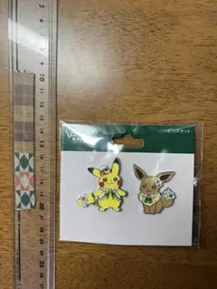 ポケパークカントー限定　ピカチュウ&イーブイピンズセット　らす1