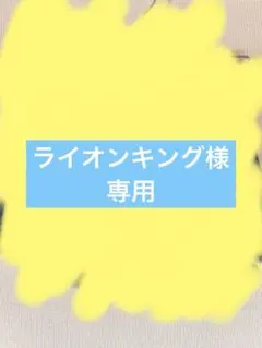✳︎ライオンキングさん専用✳︎