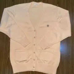 Item thumbnail for item 2e7220aa-6d8f-415a-be7a-cce89a1e0047