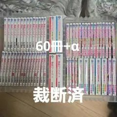 新品あり】世界一初恋 1-21巻 純情ロマンチカ 1-30巻 全巻セット