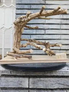 2025年最新】バードアスレチックの人気アイテム - メルカリ