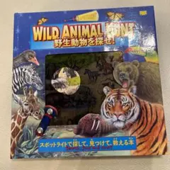 野生動物を探せ!