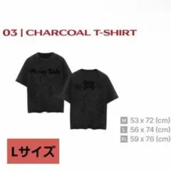 SKZ T シャツ チャコール シンガポール straykids グッズ スキズ