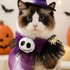 ハロウィン ペット用コスプレ衣装 首飾り 猫 小型犬 コスチューム