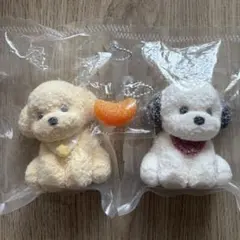 kikisquishy 粉付きわんちゃん シャリみかん 3点set