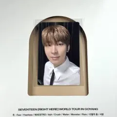 RIGHT HERE デジコ ウォヌ トレカ SEVENTEEN