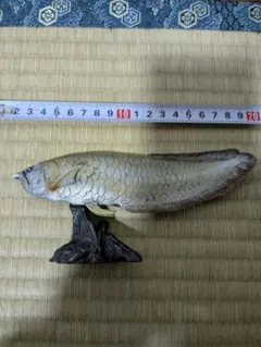 Item thumbnail for item aaf0c452-43ac-42f8-86cb-e436b3f1d435