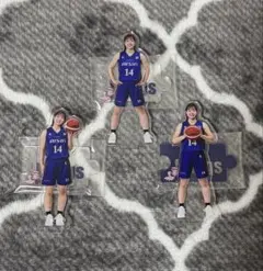 wリーグ バスケットボール