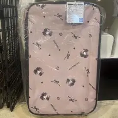 Item thumbnail for item 0c7d5ebe-2aed-4f6d-82d3-e42ad0b2b29a