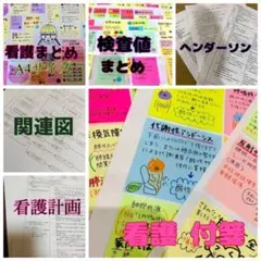 看護師国家試験 付箋ノート 全分野 頻出重要ポイント - メルカリ