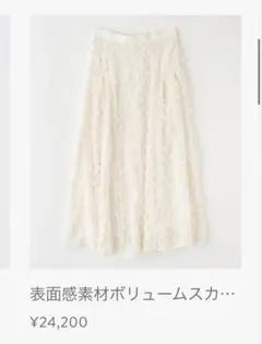 表面感素材ボリュームスカート　Stola.のサムネイル