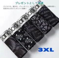 ボクサーパンツ メンズ 下着 5枚セット 前閉じ ローライズ 3XL