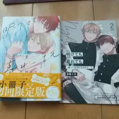明けても暮れても 2 小冊子付き 限定版