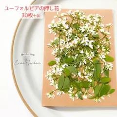 milky様 リクエスト 2点 まとめ商品