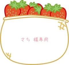 ◾︎ さち 様専用です ◾︎