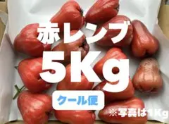 2026年最新】レンブ 果物の人気アイテム - メルカリ