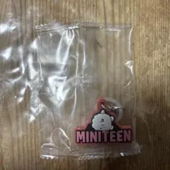 MINITEEN ミニティーンガチャ めじるしアクセサリー 《PPYOPULI》