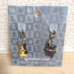 ポケモンセンター メガトウキョー ピカチュウ メガリザードン メタル