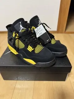 NIKE AIR JORDAN4 RETRO THUNDER 2023のサムネイル