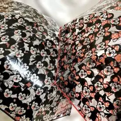 Item thumbnail for item 82d2874f-1525-4d77-ba75-62aed9a0276b