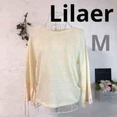 Item thumbnail for item 8b66c561-7d60-4c49-a5be-4f7aa6b0ed37