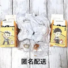 ハイキュー ポップマート 木兎 赤葦 梟谷 POP MART