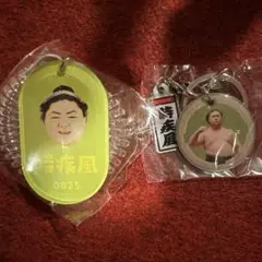 大相撲ガチャ 時疾風