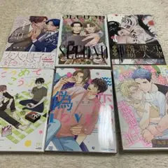 ＢＬコミック　6冊セット　ＢＬ小説　ＢＬ新刊　組み替えOK