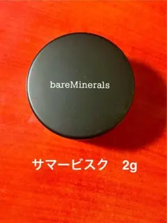 2025年最新】サマービスクベアミネラルの人気アイテム - メルカリ