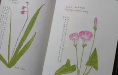 Item thumbnail for item 65164379-099e-44ce-a079-ab8ddac0790f