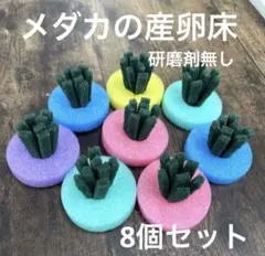 メダカ 産卵床 8個入り 研磨剤無し - メルカリ