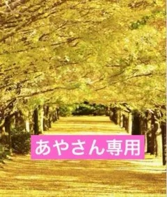 あや様　専用