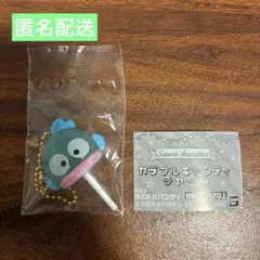 カラフルキャンディチャーム サンリオ ハンギョドン