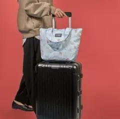 未使用　KALDI　 いちごバッグ 2026　エコバッグ　保冷バック