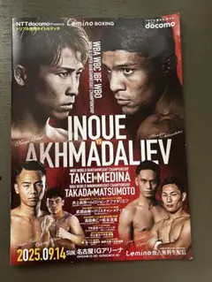 【No.43】井上尚弥　トリプル世界タイトルマッチ　パンフレット