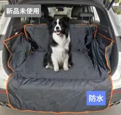 Item thumbnail for item e88fe0cb-1e94-427f-9ae1-73e7813d7dfc