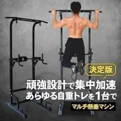 STEADY 懸垂マシン 健康ぶら下がり器 耐荷重150kg 説明書付き - メルカリ
