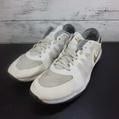 NIKE DUAL FUSION TR 3 PRINT 25.0cm