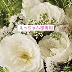 えっちゃん様専用ページ