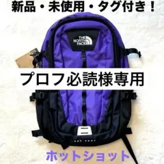 【新品・未使用】　THE NORTH FACE Hot Shot リュック