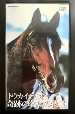 Item thumbnail for item b4a87345-d8ab-4e15-a5a3-d0f7fcbb7ae0